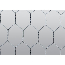 Hexagonal malla de alambre (alta calidad wth precio bajo)